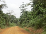 48697CIMG5034.JPG