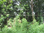 15975IMG_4528.JPG