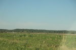 2024-06-17_21-44-21_B8E7BE8A-1A7E-4E04-999C-E1EEA8B7034B.jpeg