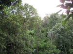 14642IMG_5023.JPG