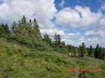 34706PEWA08PP4E.jpg