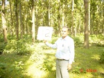 6655gt112-forest-2.jpg