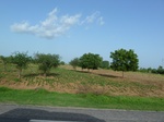19369P1010215.JPG