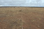 52159AGR_WA_ 044_L5.jpg