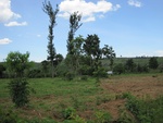 32125IMG_0168.JPG