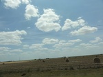 35996DSC02266.JPG
