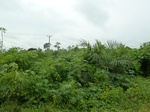 18296P1000132.JPG