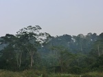 50008CIMG6345.JPG