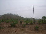 3970RIMG0274.JPG