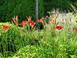 2012-08-30_11-29-23_CIMG2233.JPG