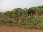 50432CIMG1061.JPG