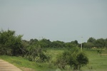 2024-08-05_14-43-47_3D75E330-ABB5-49D3-9AEA-6CB6CB5D0A43.jpeg