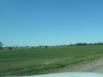 28956P1060036.JPG