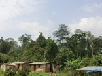 49729CIMG6066.JPG