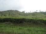 13849IMG_4123.JPG