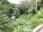5579100_0977.JPG