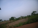 3851RIMG0155.JPG