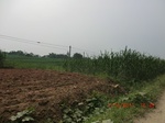 33055CIMG2289.JPG