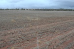 52240AGR_WA_ 044A_L3.jpg