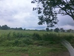 55869CIMG6558.JPG