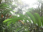 48072CIMG4409.JPG