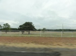 35761DSC02520.JPG