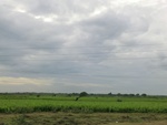 56031CIMG6720.JPG