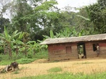 47922CIMG4259.JPG