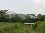 47699CIMG4036.JPG