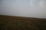 4267IMG_8906.JPG