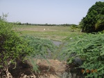 52163Tank ID 1800105 Bugadur 3.JPG