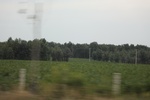 2024-08-05_16-08-55_10854820-2318-4FB6-AF7C-0BEC879F63EA.jpeg