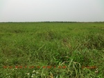 39037CIMG4513.gps.jpg