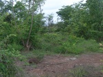 34558RIMG0023.JPG