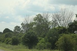 2024-09-24_16-39-36_DB1D17B1-E08C-46DC-BDBA-F10BA327EA71.jpeg