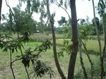 21810DSC08367.JPG