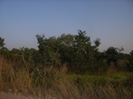 9018RIMG0095.JPG