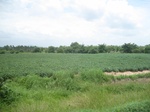 33366IMG_5706.JPG