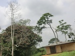 49242CIMG5579.JPG