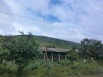 55855CIMG6542.JPG