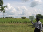 9414gt84b_cropland_sunflower.gif