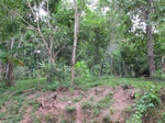 32087IMG_5585.JPG
