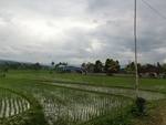 30892CIMG0746.JPG