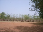 4002RIMG0306.JPG
