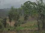 28313IMG_5126.JPG