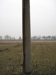 8493IMG_0318.JPG