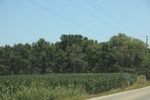 2024-06-17_21-26-39_038BF07C-1AEE-433E-9FEC-FBC4B7F663AA.jpeg