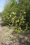 291IMG_4187.JPG