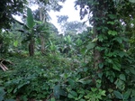 45278CIMG2363.JPG