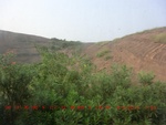 39023CIMG1639.gps.jpg